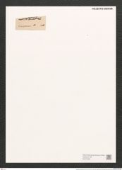Odontidium granulatum (Ehr.) Kütz. (de-Toni-Nr.: Genus 59, Species 2553) Zeichnungen Sammlung Grunow (NHMW-BOT-W0373409)